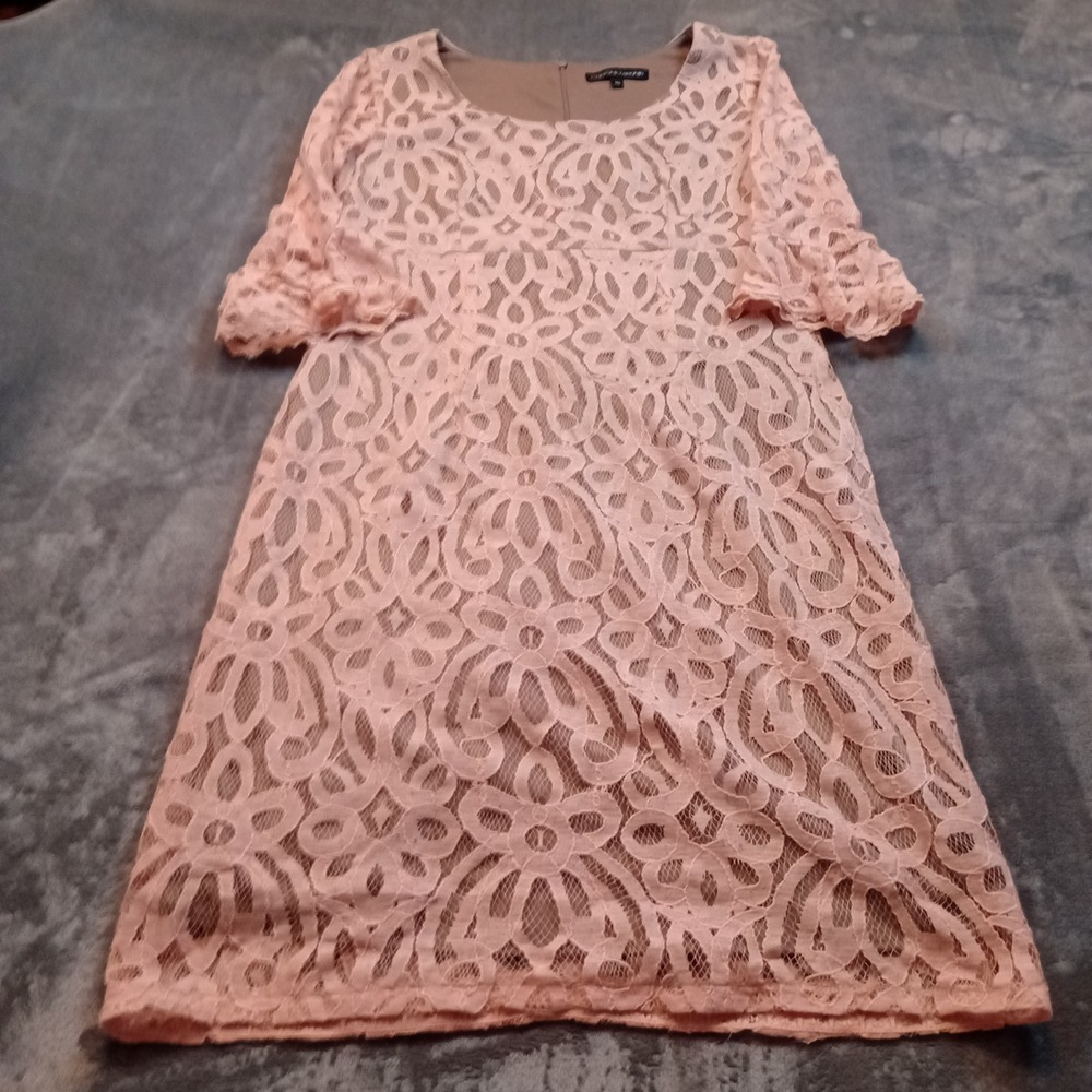 Chris McLaughlin Dress‎ Womens Size 10 Blush Pink Lace Overlay Lined Midi